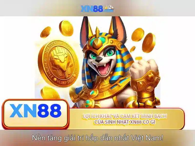 xn88 - Tổng quan về nền tảng cá cược trực tuyến