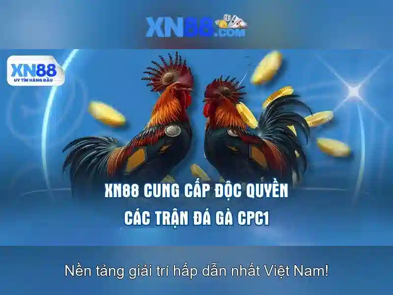 Lịch sử và phát triển