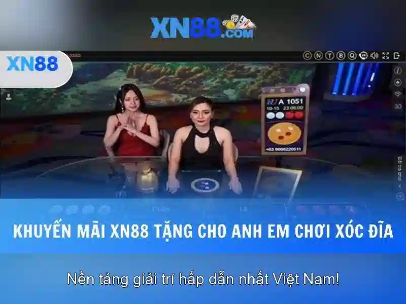 Kết luận và triển vọng