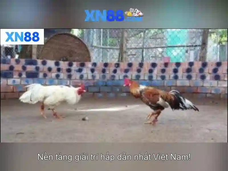 Mẹo chơi bắn cá 3 cây dễ ăn tiền nhà cái