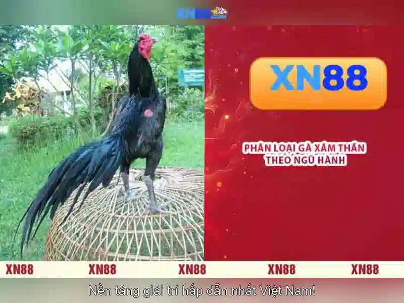 Mẹo chơi bắn cá 3 cây dễ ăn tiền nhà cái