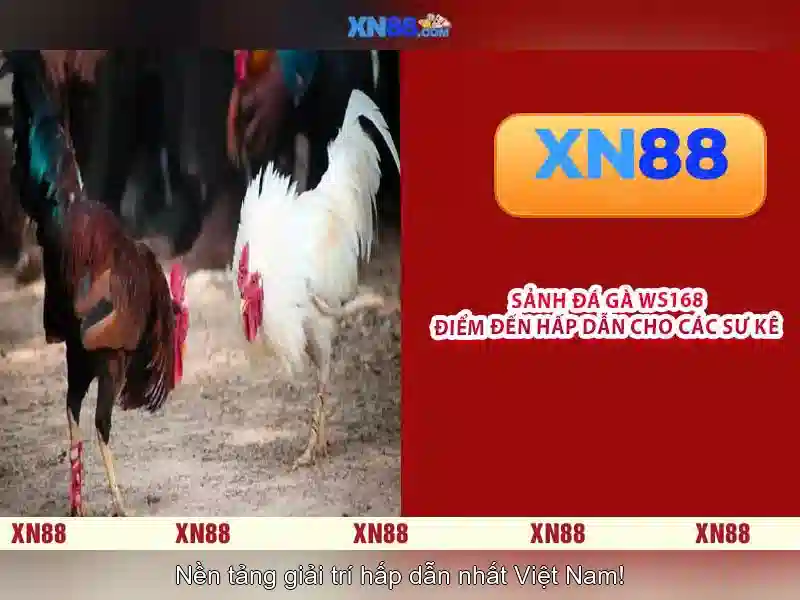 Những nguồn gốc và sứ mệnh của xn88 nổ hủ