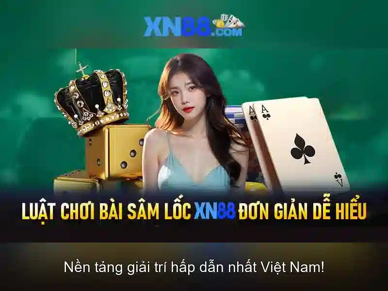 Phản hồi người dùng và tối ưu hóa