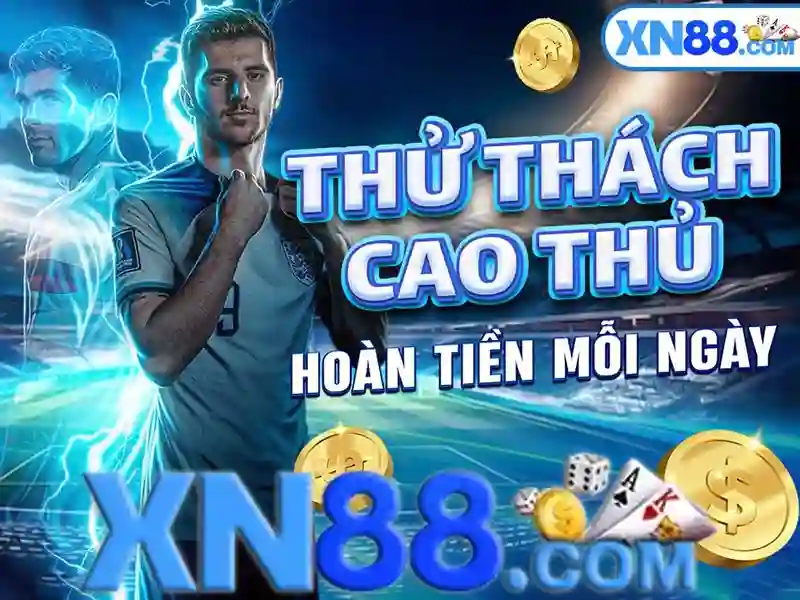 Trải nghiệm người dùng và phản hồi từ cộng đồng