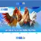 xn88 - Nền tảng giải trí trực tuyến hàng đầu tại Việt Nam
