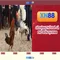 Khám phá xn88 và trải nghiệm cá cược trực tuyến