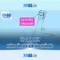 xn88 - Nền tảng trực tuyến và cộng đồng