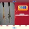xn88: Tổng quan và đánh giá nền tảng trực tuyến