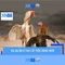 xn88: Danh gia va huong dan cho nguoi choi online