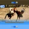 XN88: Điểm nổi bật của nền tảng chơi game trực tuyến