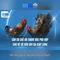 xn88 - Nền tảng giải trí trực tuyến và cá cược