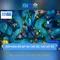 xn88 - Tổng quan về nền tảng trò chơi trực tuyến