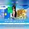xn88: Nền tảng cá cược trực tuyến uy tín và dễ tiếp cận