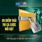 xn88 và hành trình giải trí trực tuyến