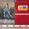 Giới thiệu về xn88: nền tảng trực tuyến và các tính năng