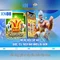 XN88: Tổng quan về nền tảng trò chơi và casino trực tuyến